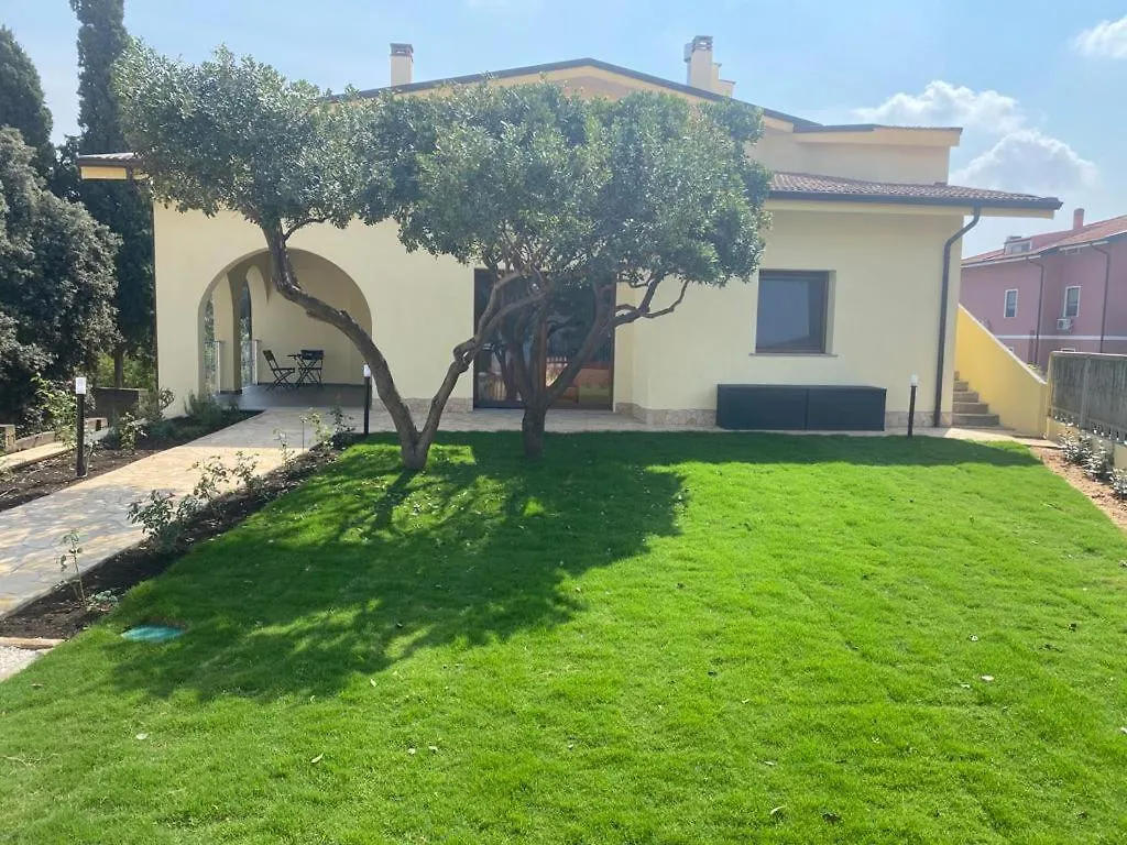 B&B Il Sogno Di Mario contacts